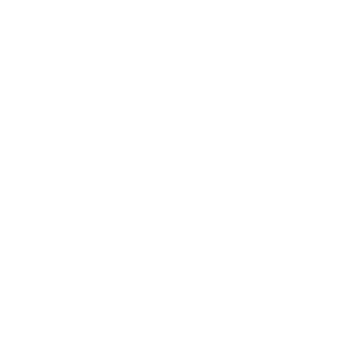 Anishinabek Logo featurng a thunderbird